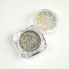 Glitter Holo Flake Silver