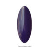 BCE Gelpolish 31