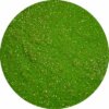 Urban Nails Glitter Poeder - Diamond Line - 58
