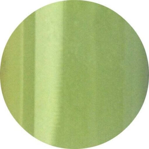 Urban Nails Color Acryl - 8 gr. - A41 Pastel groen