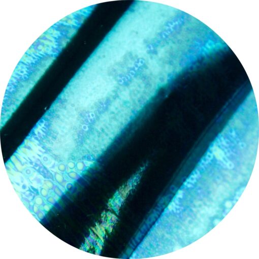 Nailart Folie Pure Foil 32